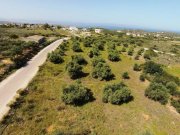 Chorafakia Chania Olivenbäume und Meerblick - in der Nähe von Stränden Grundstück kaufen